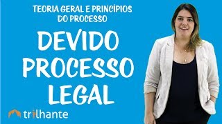 Teoria Geral e Princípios do Processo  Devido processo legal [upl. by Nagaek]