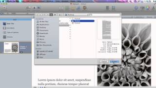 iBooks Author Word Import [upl. by Hildy319]