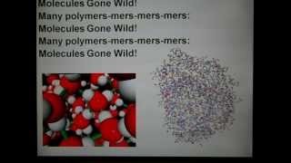 quotMolecules Gone Wild Bio Stylequot  Macromolecules Song PPT ver [upl. by Tattan]