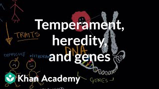 Temperament heredity and genes  Behavior  MCAT  Khan Academy [upl. by Nosreg]