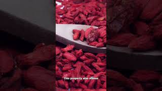 The Amazing Benefits of Gojiberries gojiberry foodfacts nutrientboost [upl. by Ahseneuq433]