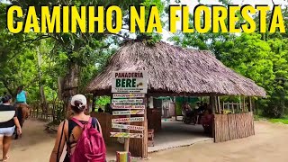 CAMINHADO NO PARQUE TAYRONA ENCONTRAMOS UMA PADARIA DENTRO DA FLORESTA EXPEDIÇÃO COLÔMBIA [upl. by Kisung]