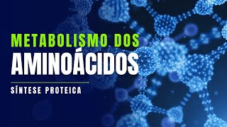 Metabolismo proteico  a síntese de proteínas é essencial para o funcionamento do organismo [upl. by Kally]