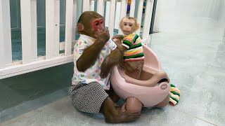 Kobi helps baby monkey Mon poop in the potty [upl. by Llewen]