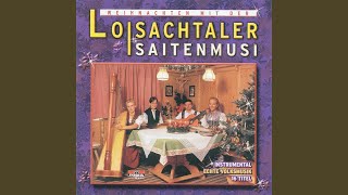 Tochter Zion Radio Version [upl. by Somisareg]