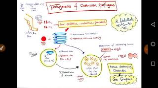 Clostridium Perfringens  Dr Amr Abdallah [upl. by Nospmoht]