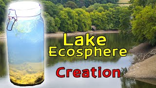 Creating a Lake Ecosphere │ An ECOSYSTEM within a SEALED glass JAR [upl. by Eliason]