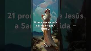 Jesus Promise to Saint Brigid You Never Knew HUGE  part 2 [upl. by Enitsed]