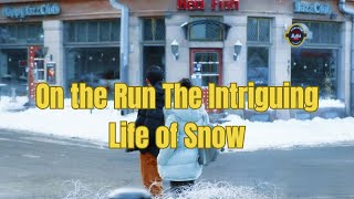 On the Run The Intriguing Life of Snow [upl. by Matusow]