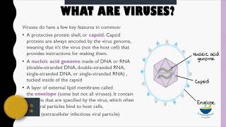 Lecture 26 Antivirals I [upl. by Ly]