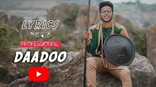 🔥Dinkisa Debela  DAADOO  New Ethiopian Oromo Music Professional lyrics video [upl. by Eitsyrhc]