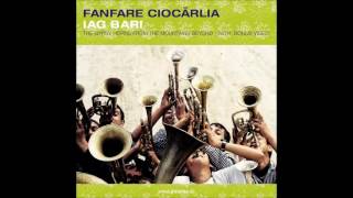 Fanfare Ciocarlia  Hora Andalusia Official Audio [upl. by Severin543]