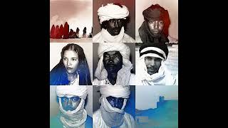 Tinariwen  Tenhert Official Audio [upl. by Uhsoj760]