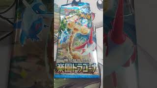 Pokemon Japanese Packs pokemon pokemoncards [upl. by Devona351]