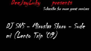 Miroslav Skoro  Sude miDj SNS Lento Trip 09 Remix [upl. by Sucramel]