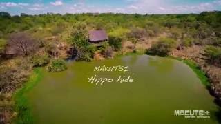 Makutsi  Hippo Hide [upl. by Risay657]