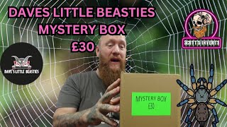 Daves little beasties mystery box [upl. by Adekram]