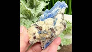 Blue Kyanite and Garnet Specimen With Stand Raw Specimen Healing Crystal 144g [upl. by Iznyl]