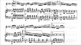 Franz Schubert  Fantasy for Violin and Piano With score [upl. by Therine]