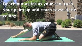 How to Properly Warm Up for the Kipping Pullup [upl. by Acim]