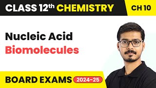 Nucleic Acid  Biomolecules  Class 12 Chemistry Chapter 10  CBSE 202425 [upl. by Elyod]