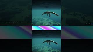 Ancient Marine Reptiles in Jurassic World Evolution 2 [upl. by Egag]