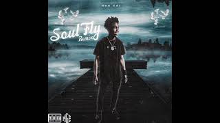 Nsc Kai  Soul Fly Official Audio [upl. by Issim]