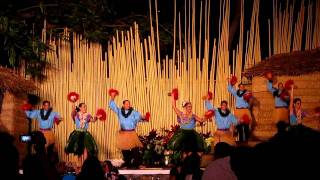 Hawaiian Luau  Hula Dance with Uli Uli Maui live [upl. by Nadabus]