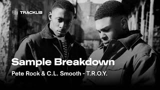 Sample Breakdown Pete Rock amp CL Smooth  They Reminisce Over You TROY [upl. by Aday]