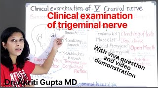 Examination of fifth  trigeminal  cranial nerve II Clinical examination [upl. by Clarine]