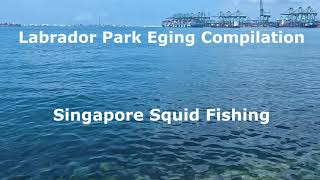 Eging Missions at Labrador Park Compilation [upl. by Osher135]