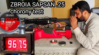 23 Zbroia Sapsan 25 pcp airrifle chorony test [upl. by Nathanoj906]