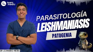 LEISHMANIASIS  Ciclo biológico y patogenia [upl. by Zetta274]