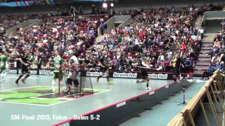 SMFinal i Innebandy 2013 FalunDalen 52 [upl. by Jaime91]