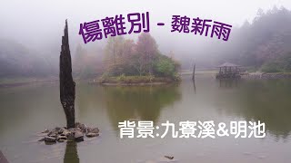 傷離別魏新雨很好聽的歌 卡啦OK 背景 宜蘭九寮溪amp明池森林遊樂區 [upl. by Aihsinat]