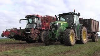 Rübenernte mit Holmer Terra Dos T2 amp John Deere 6140R6170R und LKW HD [upl. by Yssirhc]