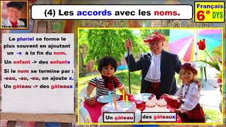 Les accords avec les noms  Grammaire française cm2 6ème dys  4 [upl. by Enomaj224]