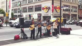 Toronto Street Musician Performance  Amazing [upl. by Haimerej334]