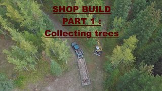 Shop Build Series Part 1 TreesPoles for my Pole Barn Shop  Cuttin down and Haulin away 100 Trees [upl. by Llenrap]