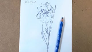 How to Draw a Flower Step by Step  Pencil drawing [upl. by Myra]