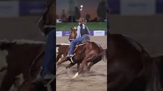 Nutrien Classic Campdraft  Annabel Milling campdrafting rodeo [upl. by Elidad]