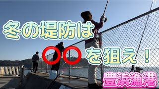 豊浜漁港で釣り🎣 20231210 [upl. by Yrrehc]