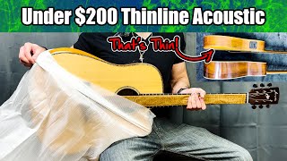 FireFly GT01E Thinline Acoustic Guitar Review Unboxing [upl. by Shirlene]