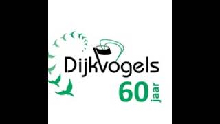 Livestream CKV Dijkvogels  Maasdijk [upl. by Chaing]