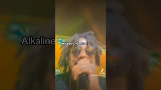 Alkaline  Extra Lesson  reaction alkaline boss alkalinetrio caribbeancountry alkalinemusic [upl. by Galasyn]