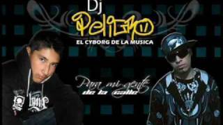 DJ PELIGRO Dale Contra el Muro [upl. by Wassyngton]