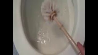 How to Clean a Toilet with Baking Soda Does this Work [upl. by Floss602]