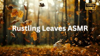 Rustling Leaves ASMR  Rustling Leaves Sound Effect  Relaxing Rustling Leaves in a Forest [upl. by Buyers985]