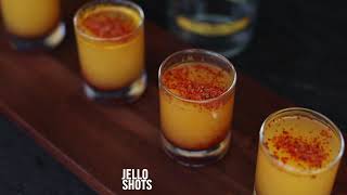 Ilegal Mezcal Drinks Jello Shots [upl. by Bertrand]