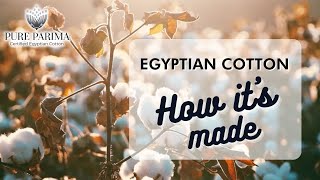 What is Egyptian Cotton  How its Made  PURE PARIMA [upl. by Ardnajela30]